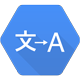 Google Translate™ API
