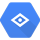 Google Vision API