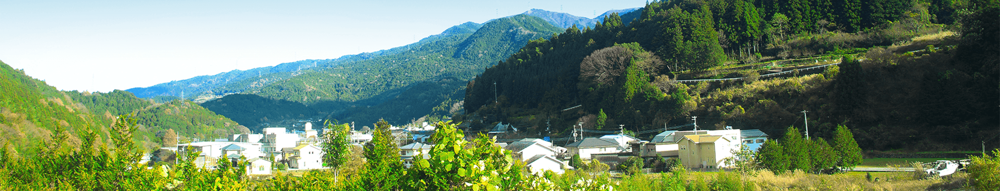 希少価値につながる働き方、神山町のサテライトオフィスで働くこと