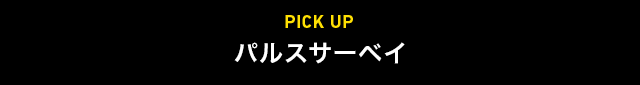 PICK UP パルスサーベイ