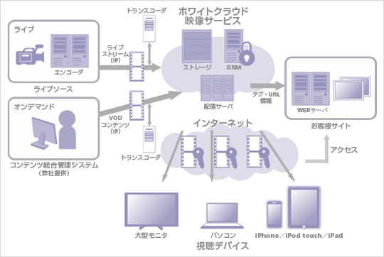 「ホワイトクラウド 映像サービス」サービス提供イメージ