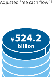 sutainable_growth-cash flow