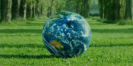 Environmental initiatives