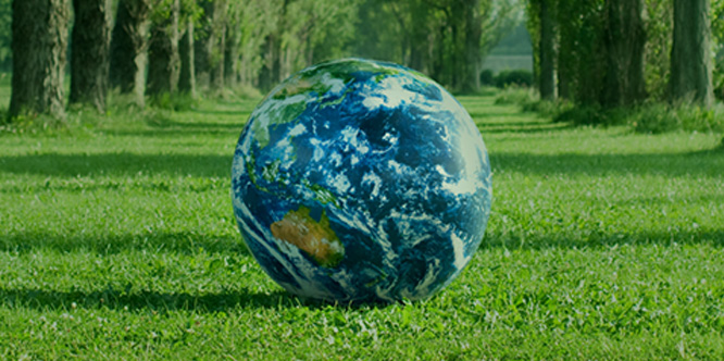 Environmental initiatives
