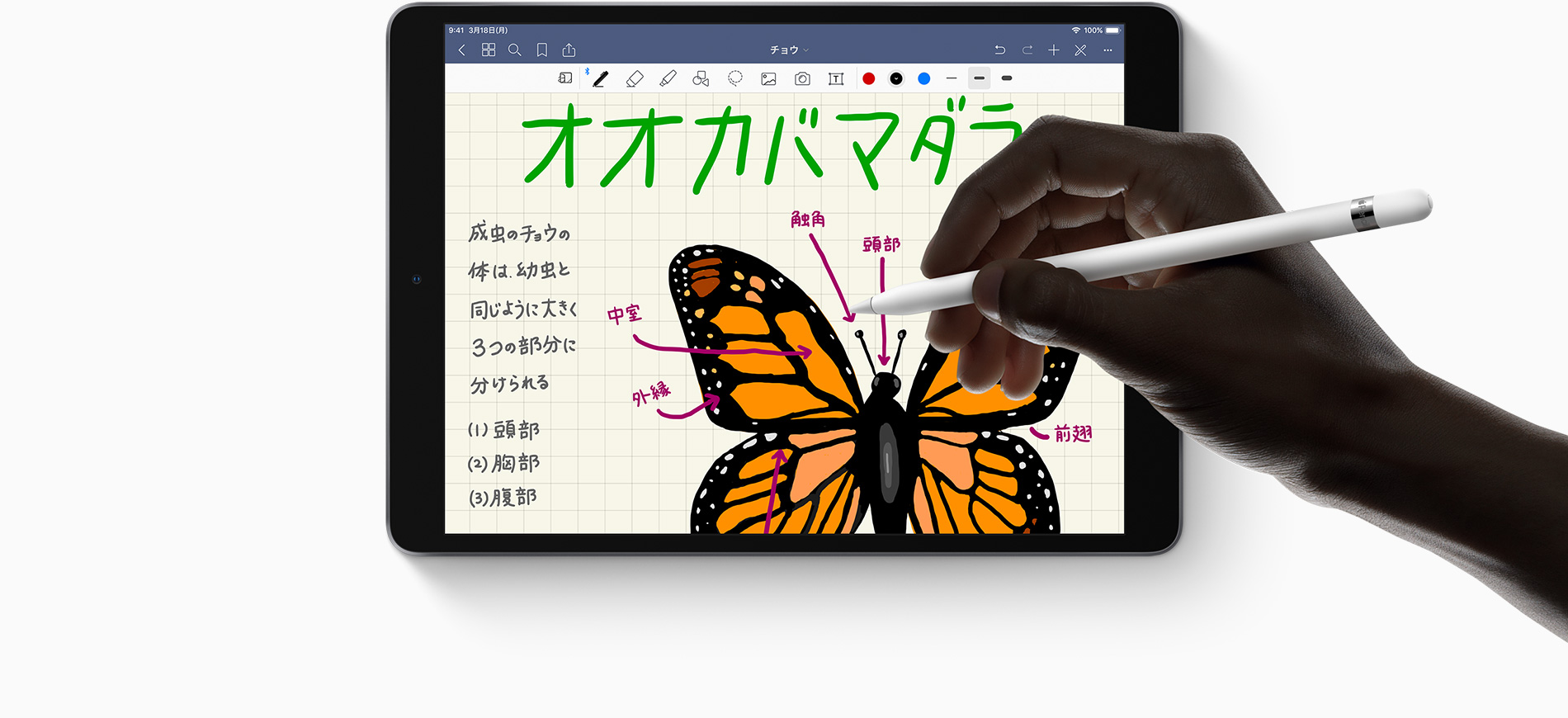 Apple Pencil Take notes, draw, and jot down ideas with pixel-perfect precision.