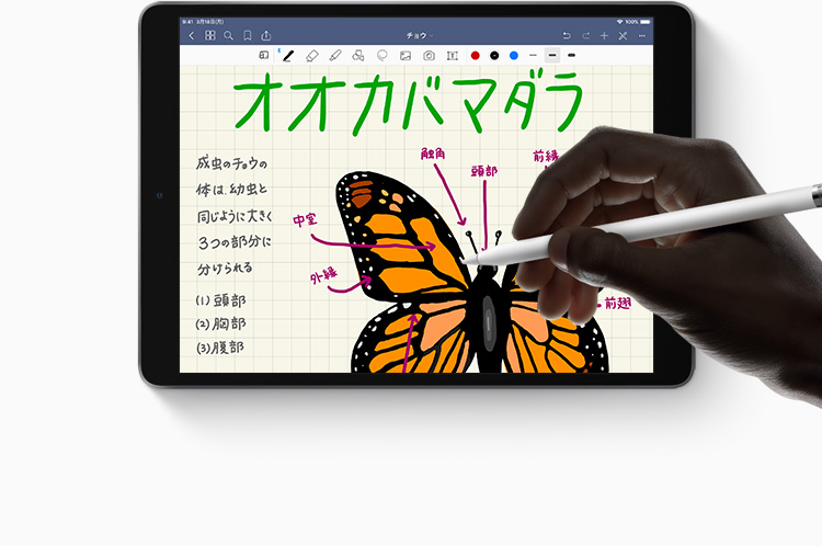 Apple Pencil Take notes, draw, and jot down ideas with pixel-perfect precision.
