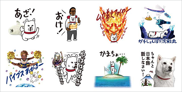 白戸家お父さん ギャル語講座