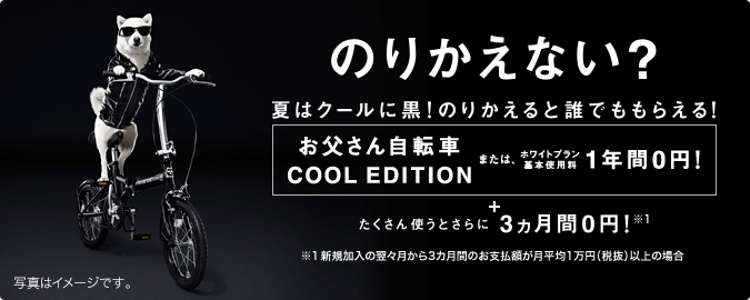写真はイメージです。