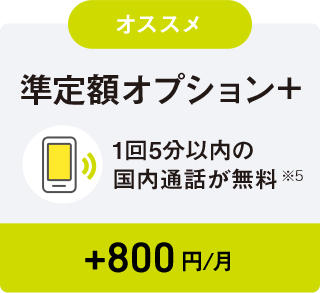 オススメ 準定額オプション+ 1回5分以内の国内通話が無料 ※5 +800円/月
