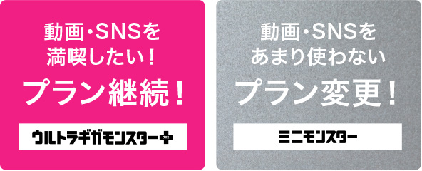動画・SNSを満喫したい!プランを継続!
動画・SNSをあまり使わないプラン変更!