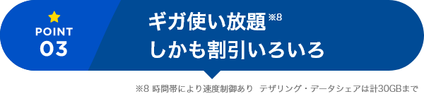 大容量50GBしかも割引いろいろ