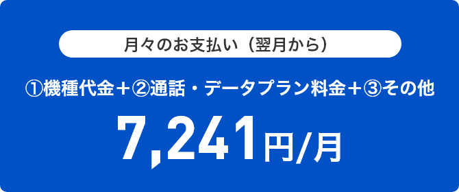 月々のお支払い目安 (翌月から6ヵ月間)