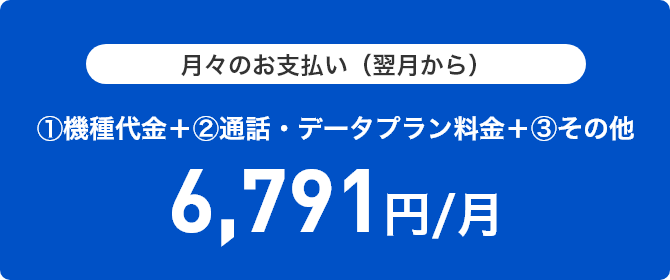 月々のお支払い目安 (翌月から6ヵ月間)