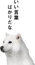 いい言葉ばかりだな