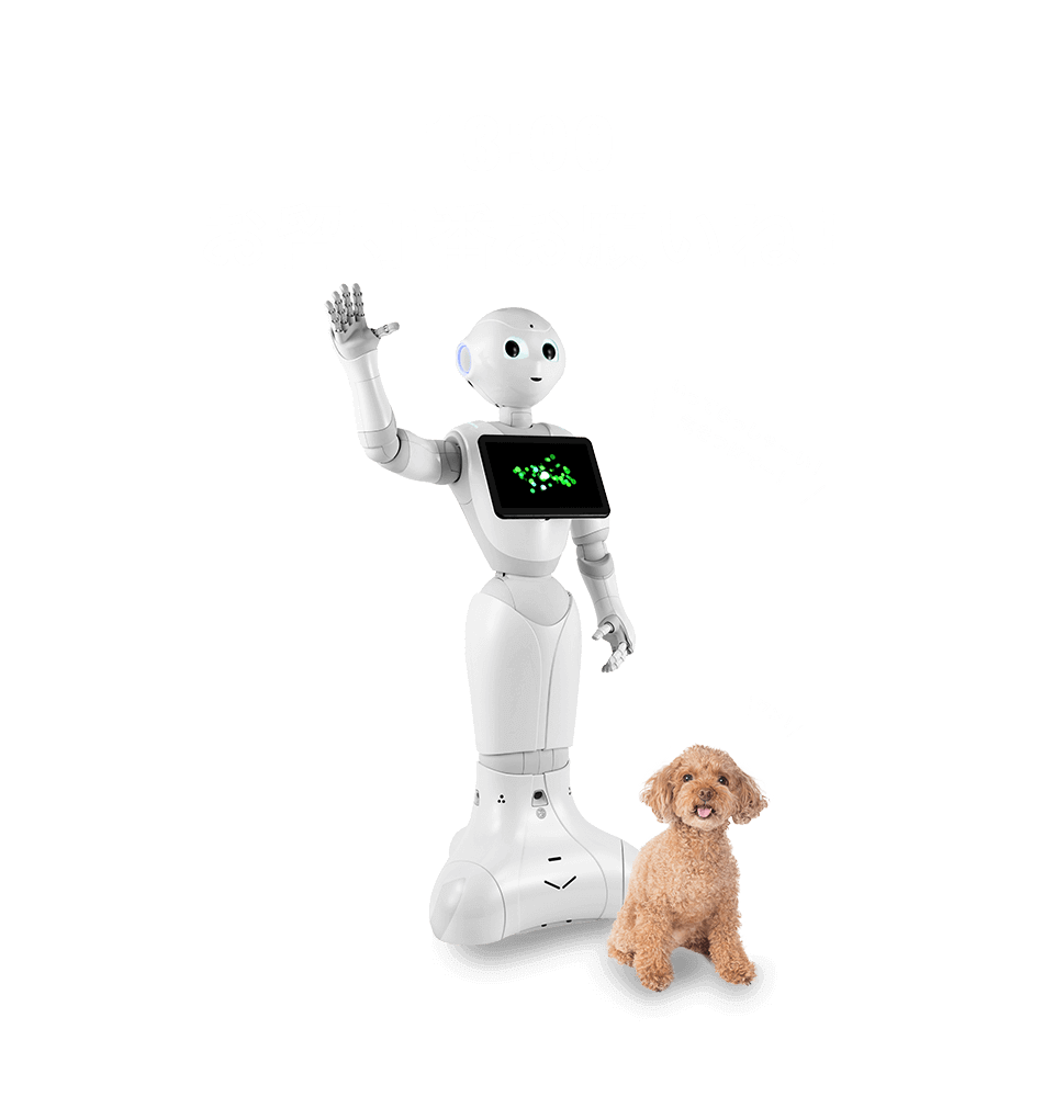 13:00 お留守番お願いね!