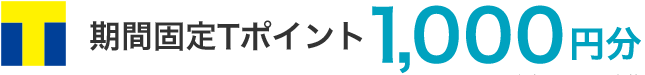 期間固定Tポイント 1,000円分