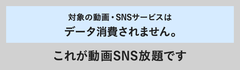 対象の動画・SNSサービスはデータ消費されません。これが動画SNS放題です