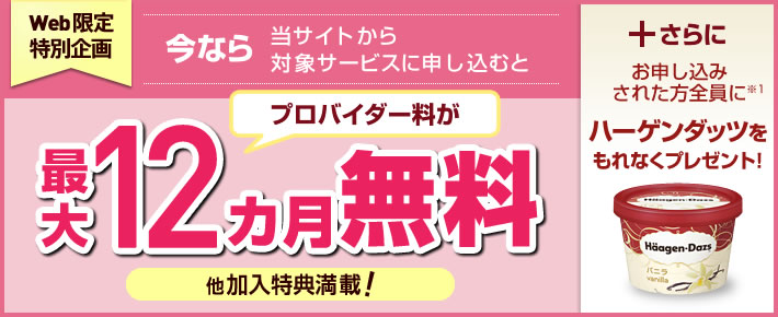 Web限定特別企画 今なら当サイトから対象サービスに申し込むと 最大12ヵ月無料 他加入特典満載! +さらに お申し込みされた方全員に※1 ハーゲンダッツをもれなくプレゼント!