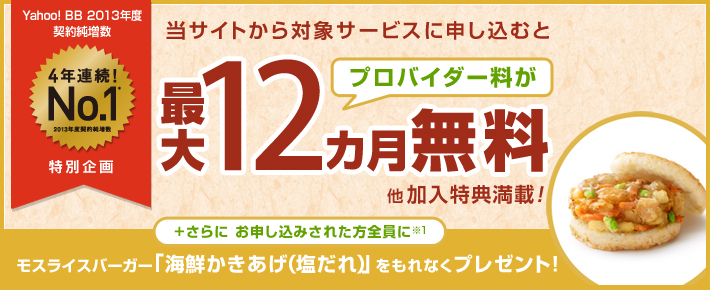 Web限定特別企画 今なら当サイトから対象サービスに申し込むと プロバイダー料が最大12ヵ月無料 他加入特典満載! +さらに お申し込みされた方全員に※1 モスライスバーガー「海鮮かきあげ(塩だれ)」をもれなくプレゼント!