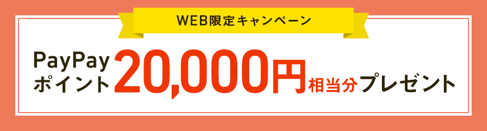 WEB限定キャンペーン 普通為替20,000円プレゼント