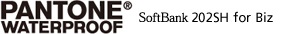 SoftBank 202SH for biz