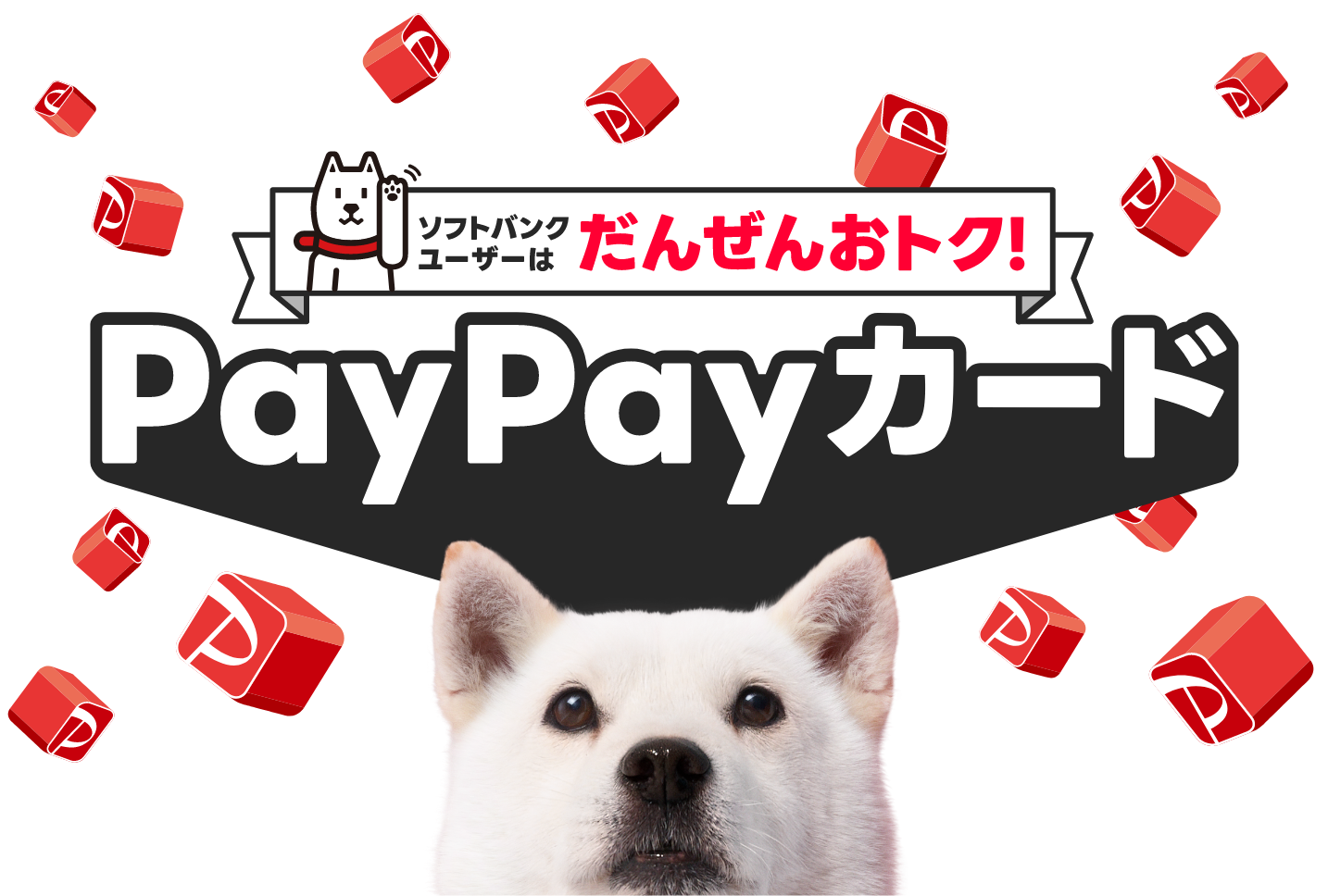 ソフトバンクユーザーはだんぜんおトク！ PayPayカード