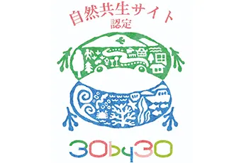 「北海道苫小牧AIデータセンター」の敷地内の樹林地が「自然共生サイト」に認定