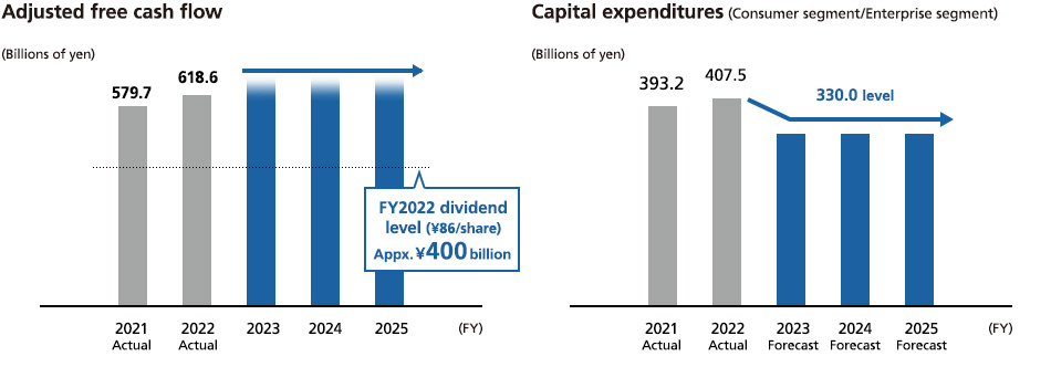 Adjusted free cash flow, Capital expenditures