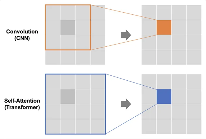 Figure 2. Differences between Convolution (CNN) and Self-Attention (Transformer)