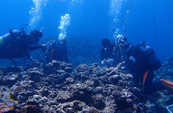 Protecting the marine environment through activities to conserve coral