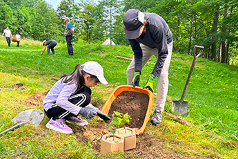 Tree planting activities by employees