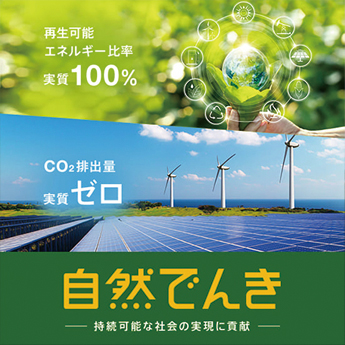 Initiatives for spreading renewable energy