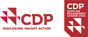 CDP 2021 Climate Change