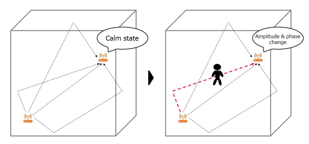 Principle of CSI Sensing - Detection Image