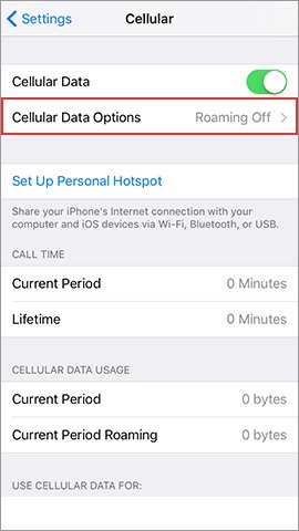 Prepaid Sim For Travel Mobile Softbank