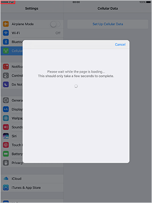 apple watch cellular data plan