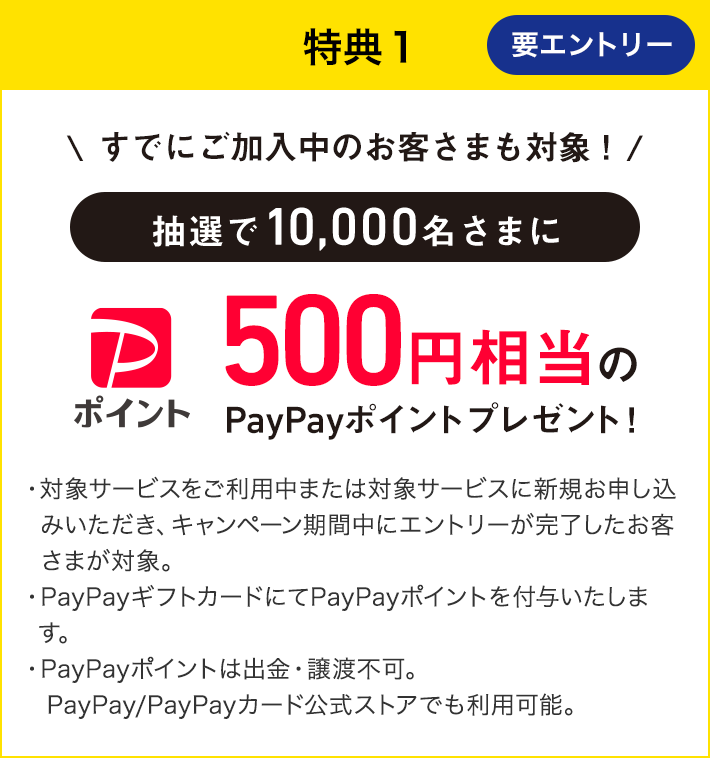 特典1 要エントリー すでにご加入中のお客さまも対象! 抽選で10,000名さまに 500円相当のPayPayポイントプレゼント! 対象サービスをご利用中または対象サービスに新規お申し込みいただき、キャンペーン期間中にエントリーが完了したお客さまが対象。 PayPayギフトカードにてPayPayポイントを付与いたします。 PayPayポイントは出金・譲渡不可。PayPay/PayPayカード公式ストアでも利用可能。