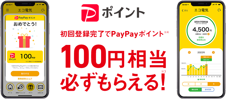 PayPay 初回登録完了でPayPayポイント※5 100円相当必ずもらえる!※4