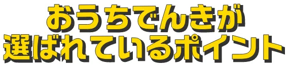 おうちでんきが選ばれているポイント
