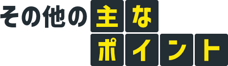 その他の主なポイント