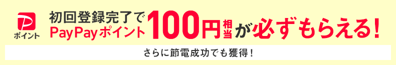 初回登録完了でPayPayボーナス100円相当が必ずもらえる！※