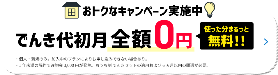 おトクなキャンペーン実施中 でんき代初月全額0円