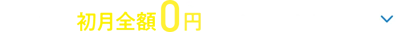 でんき代初月全額0円キャンペーン実施中 個人・新規。1年未満の解約で違約金あり。WEB申込のみ。