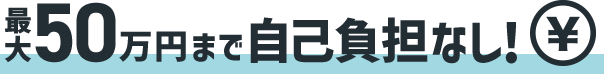 24時間365日対応（2年間）