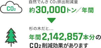 自然でんきCO2排出削減量 約30,000トン／年間 杉の木だと... 年間2,142,857本分のCO2削減効果があります