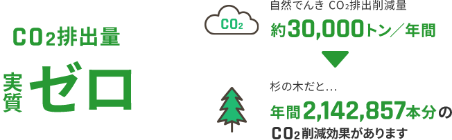 CO2排出量 実質ゼロ 自然でんきCO2排出削減量 約30,000トン／年間 杉の木だと... 年間2,142,857本分のCO2削減効果があります