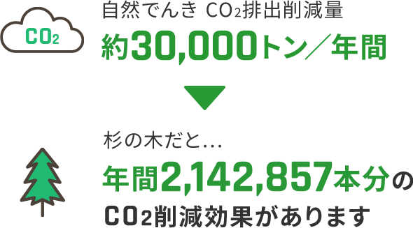 自然でんきCO2排出削減量 約30,000トン／年間 杉の木だと... 年間2,142,857本分のCO2削減効果があります
