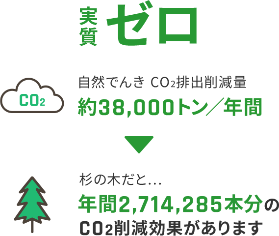 実質ゼロ 自然でんきCO2排出削減量 約38,000トン／年間 杉の木だと... 年間2,714,285本分のCO2削減効果があります