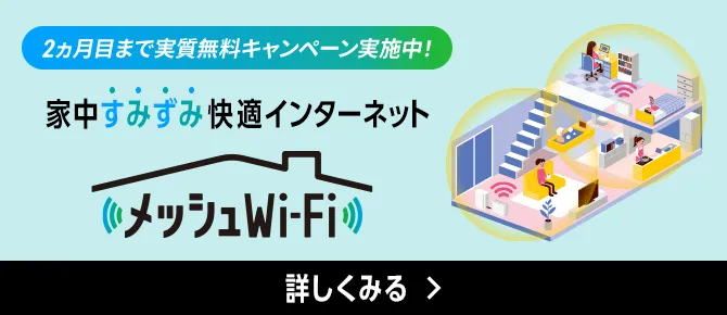 2ヵ月目まで実質無料キャンペーン実施中！ 家中すみずみ快適インターネット メッシュWi-Fi 詳しくみる