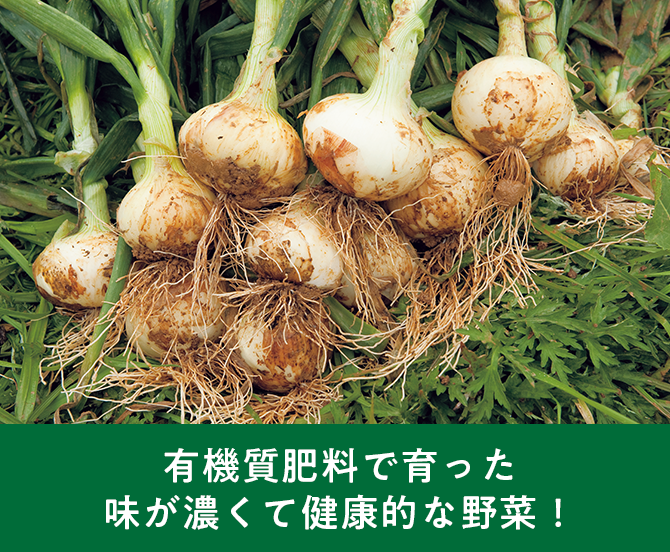 有機質肥料で育った味が濃くて健康的な野菜！